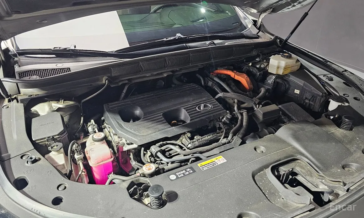 Фото 6 - Lexus RX