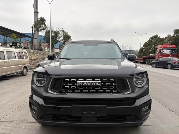 Фото 2 - Haval H-Dog