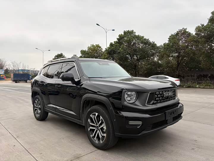 Фото 3 - Haval H-Dog