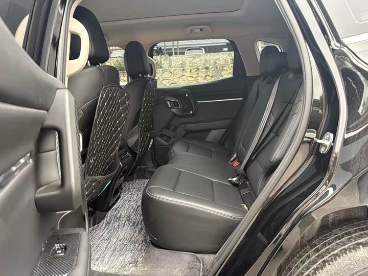 Фото 6 - Haval H-Dog