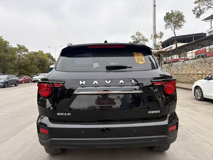 Фото 8 - Haval H-Dog