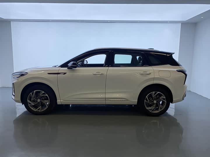 Фото 3 - Hongqi HS3 Hybrid