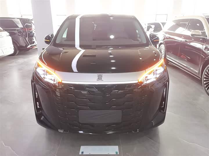 Фото 3 - BYD Xia