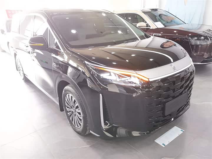 Фото 4 - BYD Xia