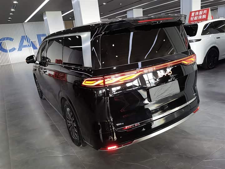 Фото 5 - BYD Xia