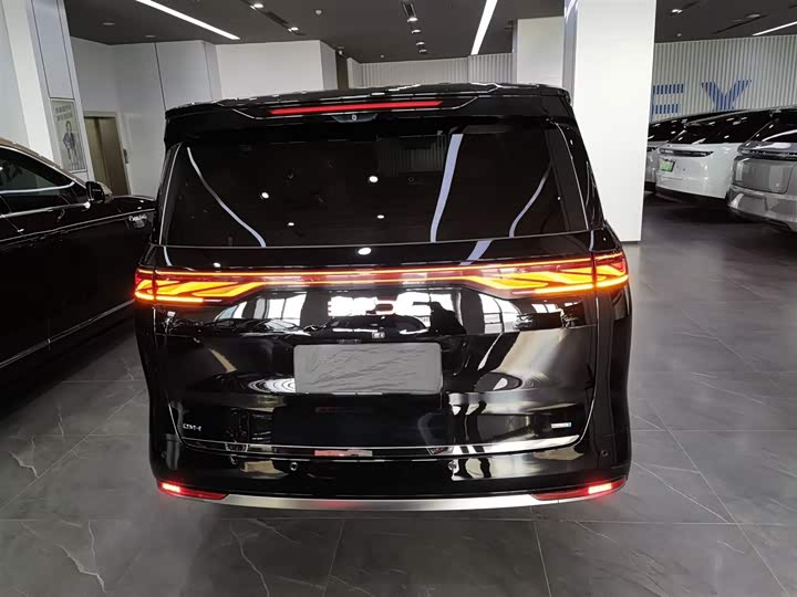 Фото 6 - BYD Xia