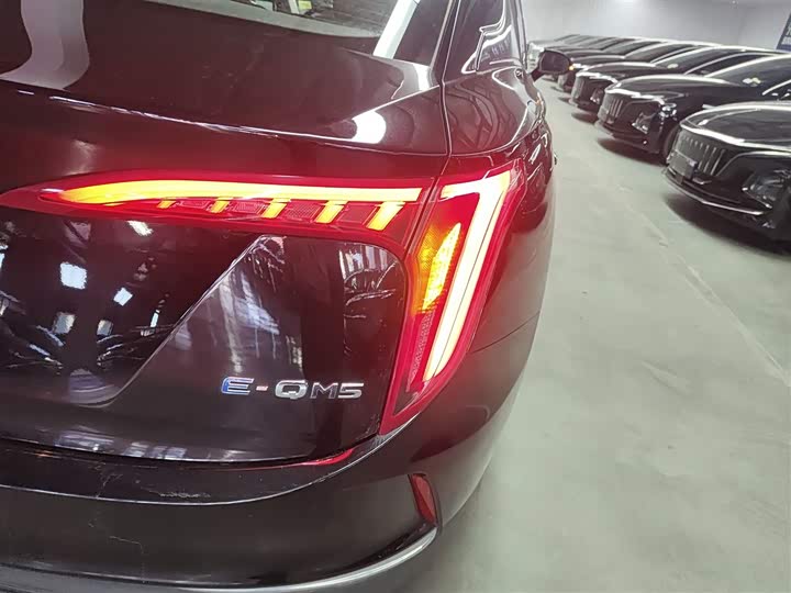 Фото 8 - Hongqi E-QM5