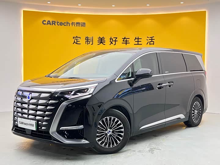 Фото 1 - Denza D9