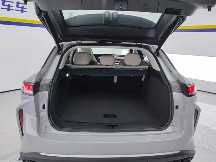 Фото 4 - Exeed RX C-DM Hybrid