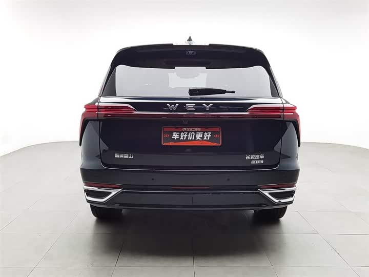 Фото 4 - Wey Lanshan