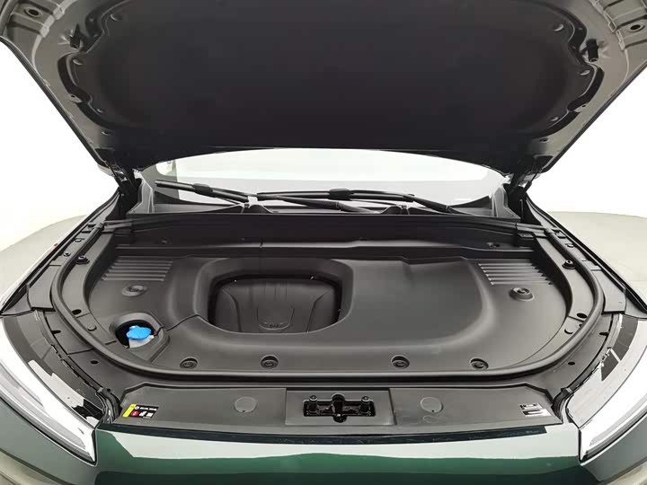 Фото 6 - Wey Lanshan