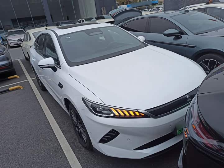 Фото 4 - BYD Qin Plus