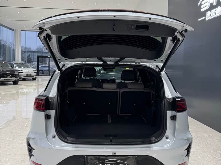 Фото 9 - BYD Tang Hybrid/EV