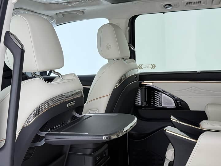 Фото 9 - GAC Trumpchi E9