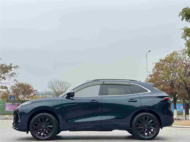 Фото 4 - Dongfeng Forthing T5 EVO