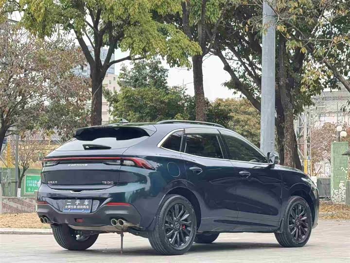 Фото 5 - Dongfeng Forthing T5 EVO