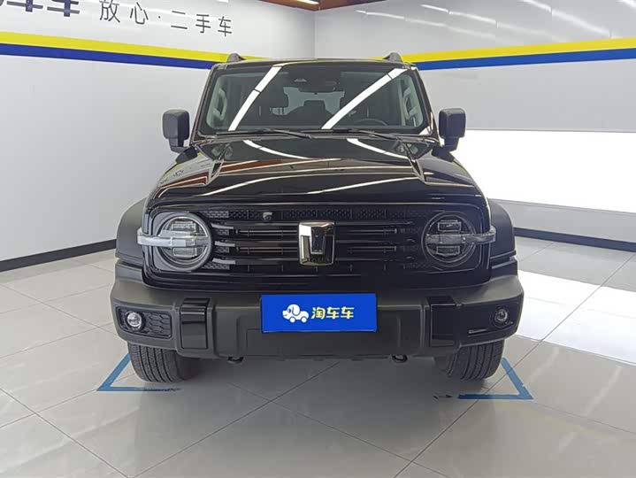 Фото 2 - Tank 300