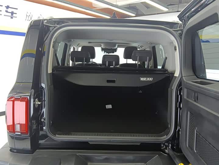 Фото 4 - Tank 300