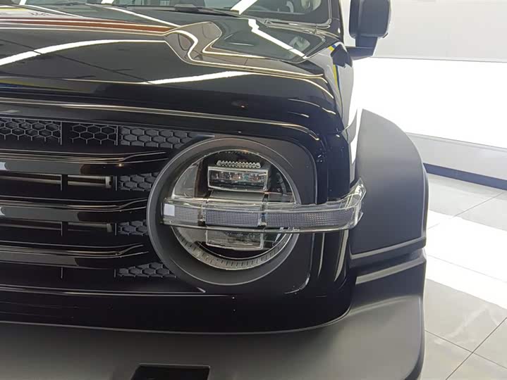 Фото 5 - Tank 300