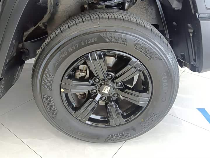 Фото 6 - Tank 300