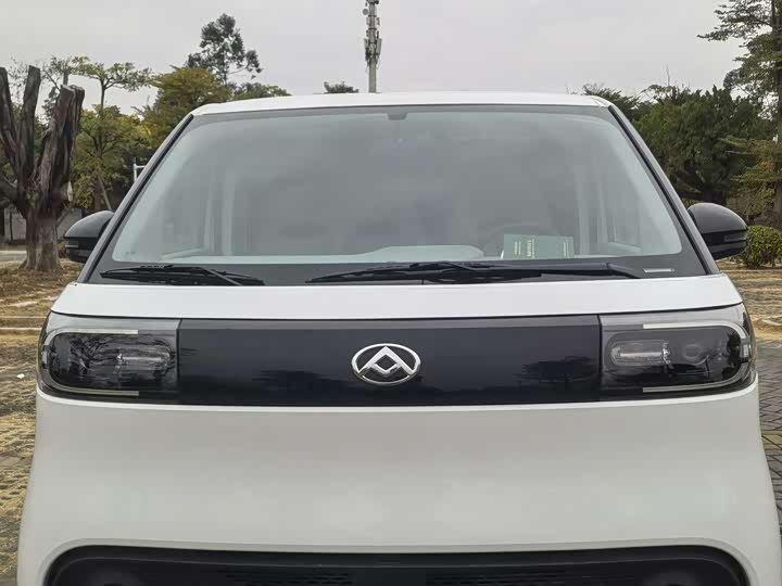 Фото 2 - Maxus Dana V1