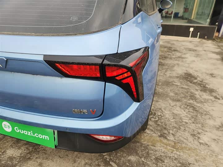 Фото 8 - Hozon V