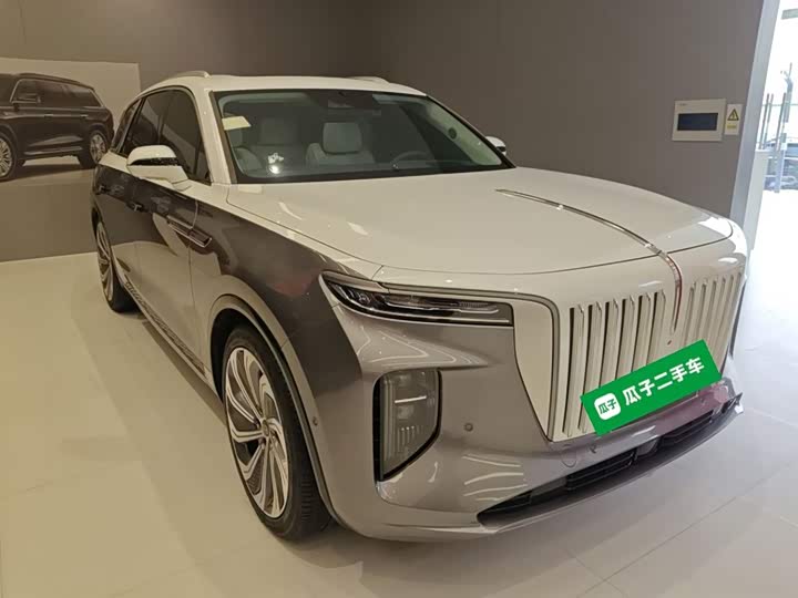 Фото 4 - Hongqi E-HS9