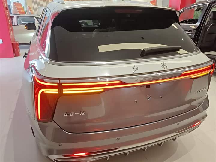 Фото 6 - Hongqi E-HS9