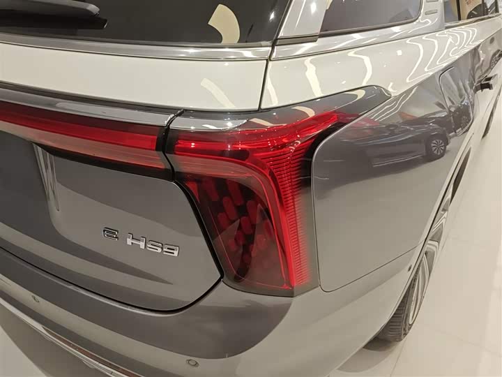 Фото 8 - Hongqi E-HS9