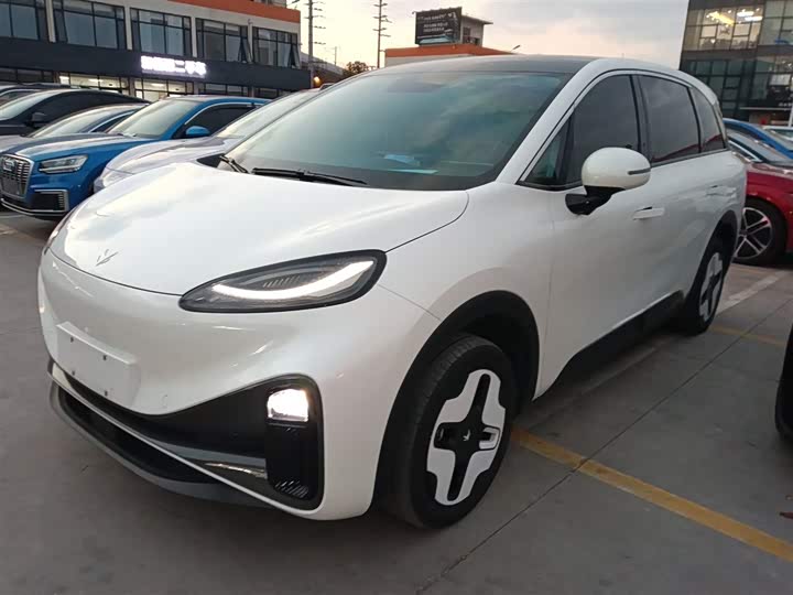 Фото 2 - BAIC Arcfox Kaola S