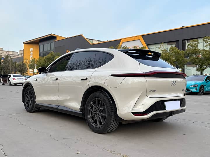 Фото 4 - IM motors LS7