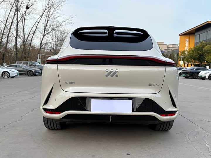 Фото 5 - IM motors LS7