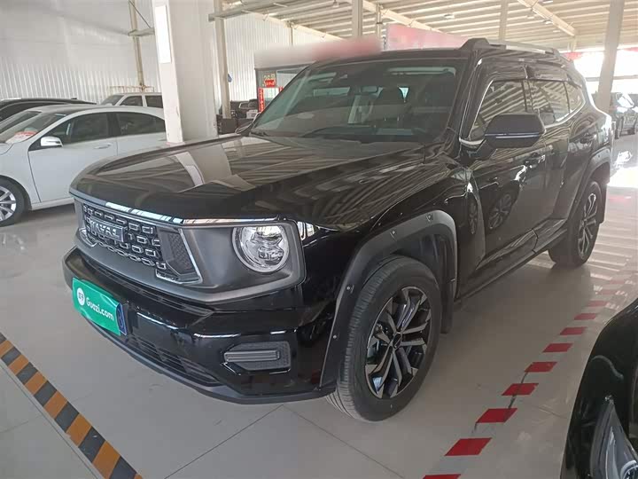 Фото 2 - Haval H-Dog