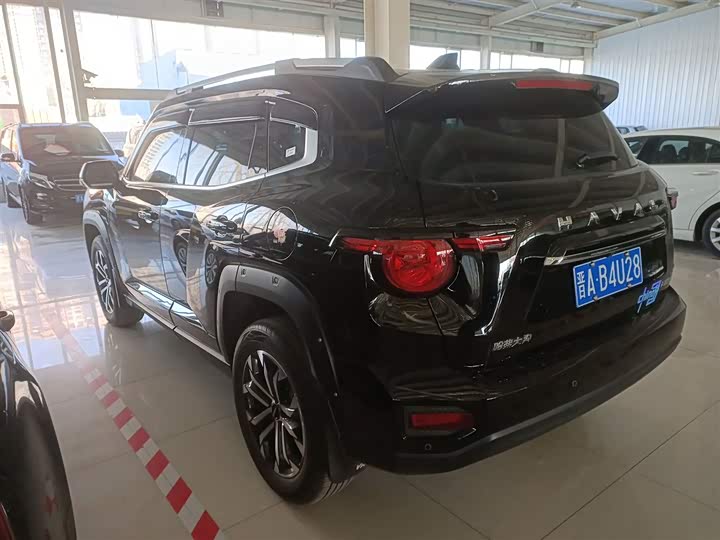 Фото 5 - Haval H-Dog