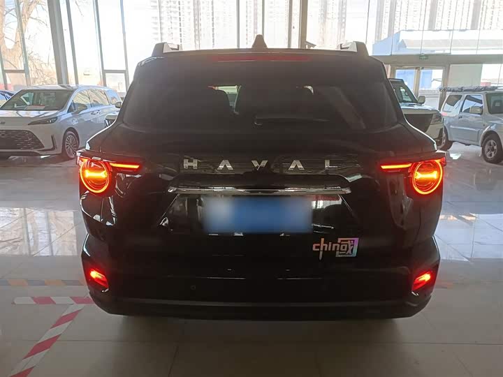 Фото 6 - Haval H-Dog