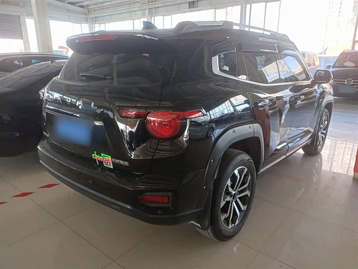 Фото 7 - Haval H-Dog