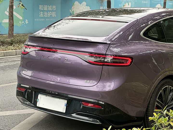 Фото 3 - Luxeed R7