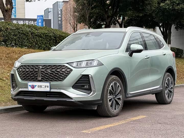 Фото 1 - Wey Latte DHT