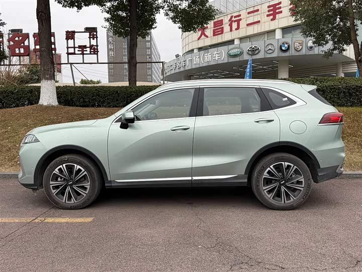 Фото 3 - Wey Latte DHT