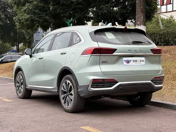 Фото 4 - Wey Latte DHT