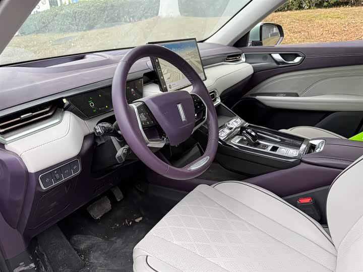 Фото 7 - Wey Latte DHT