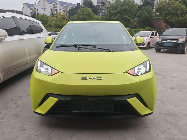 Фото 3 - BYD Seagull