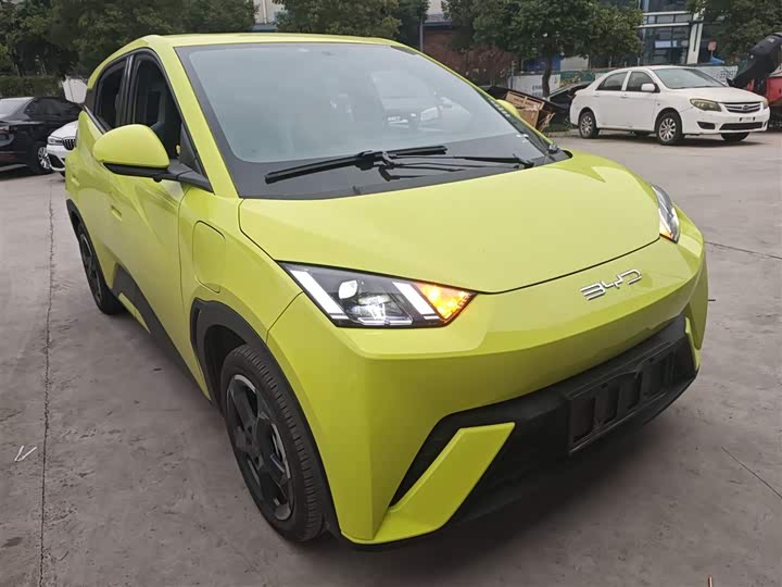 Фото 4 - BYD Seagull