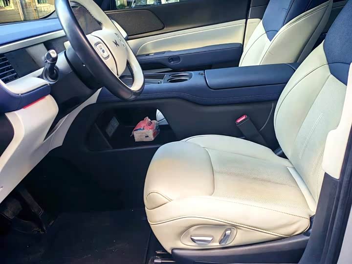 Фото 3 - XPeng G6