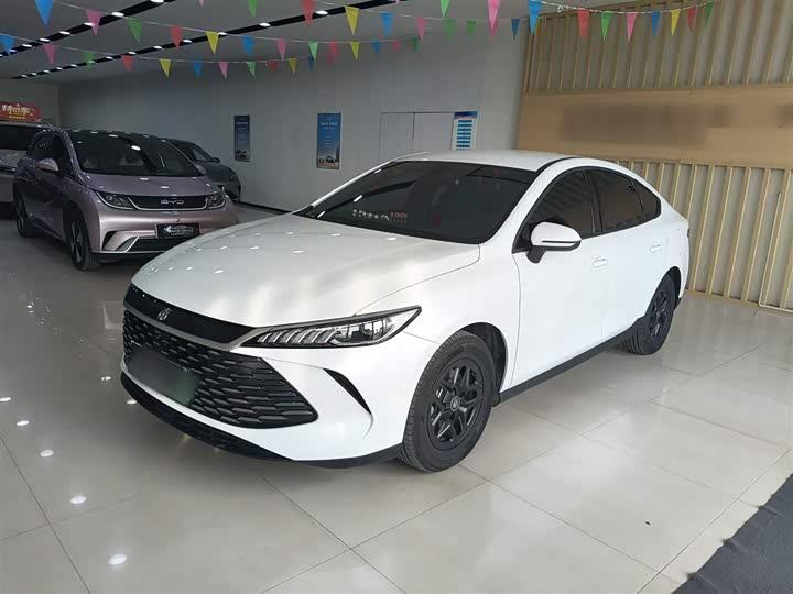 Фото 2 - BYD Qin Plus