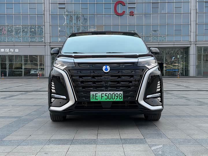 Фото 2 - Denza D9