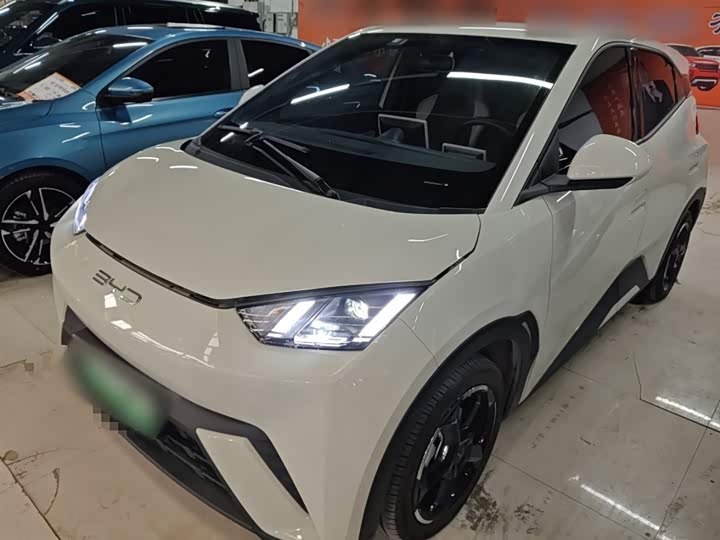 Фото 2 - BYD Seagull