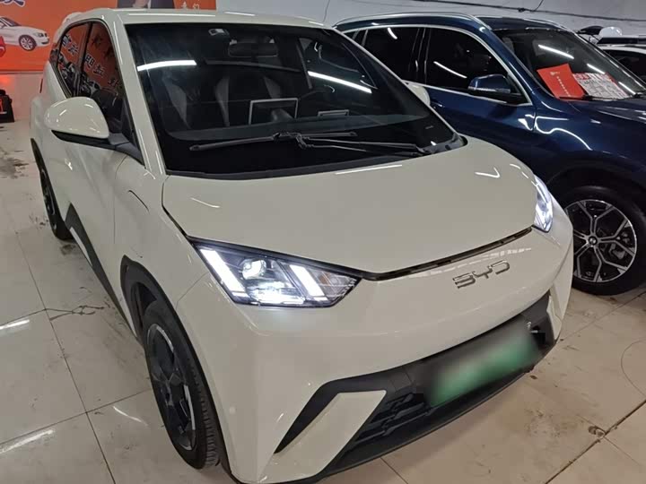 Фото 4 - BYD Seagull