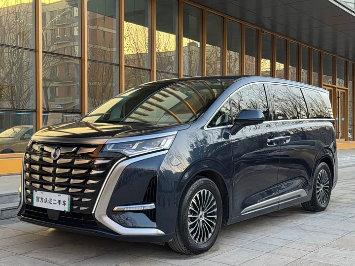 Фото 1 - Denza D9