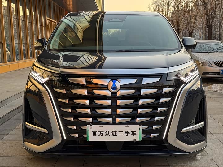 Фото 2 - Denza D9